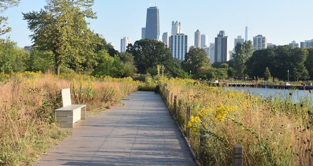 Chicago (Estados Unidos)