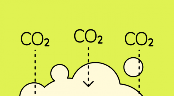 FLASH_DECARBOCONSTRUCTION_PNG